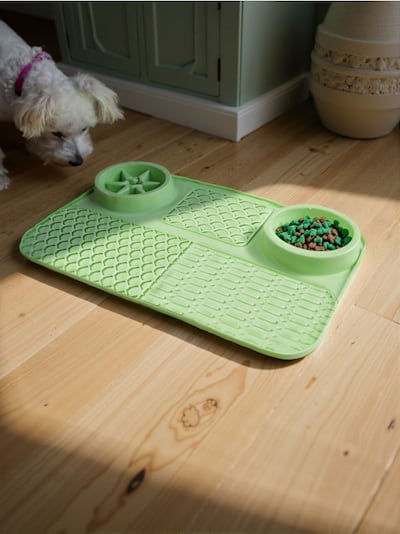 Söömist aeglustav matt koertele