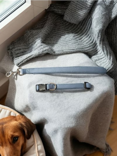 Set: Ogrlica i povodac za pse