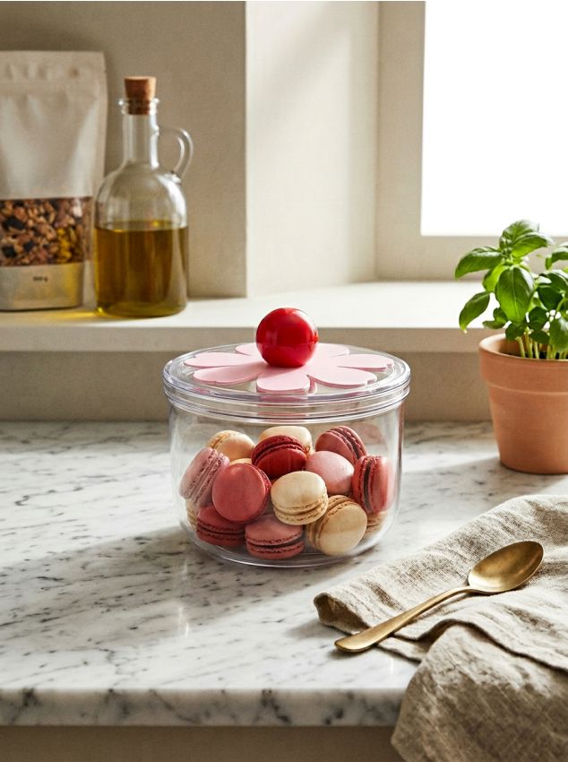 Sinsay - Organizator - alb