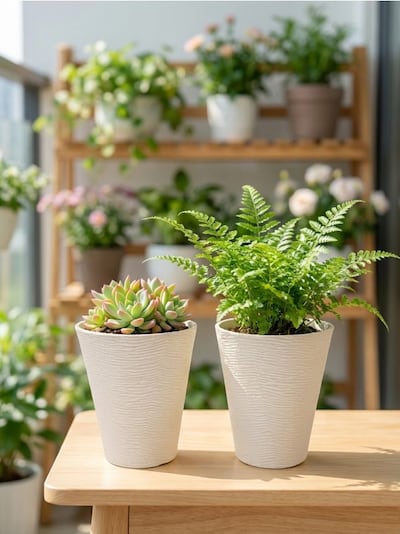 Tekstuursete lillepottide komplekt, 2 tk