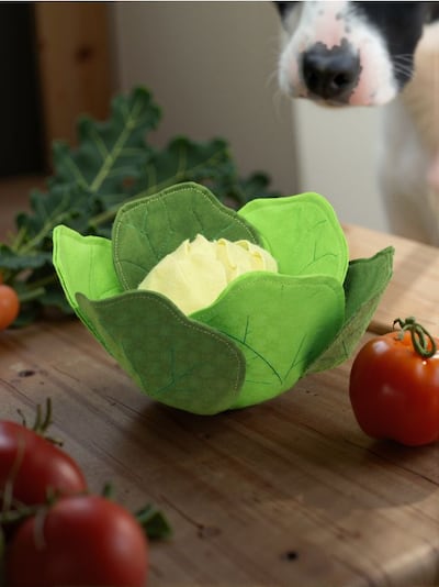 Igrača za pse in mačke