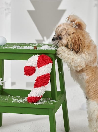 Божиќна играчка за куче во форма на шеќерна трска