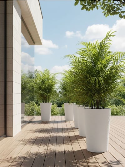 Hoher Blumentopf mit dekorativer Struktur