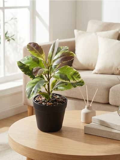 Kunstlik dekoratiivtaim potis suurte lehtedega