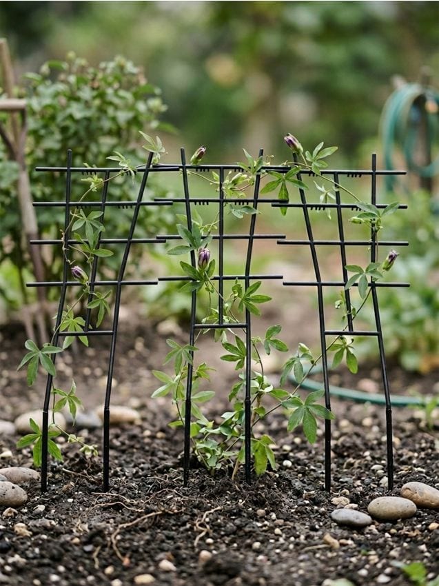 Sinsay - Suporturi pentru flori 3 pack - negru