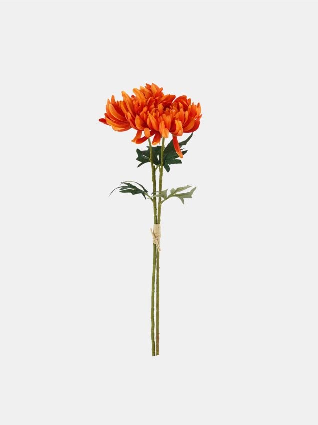 Sinsay - Plantă artificială decorativă 2 pack - portocaliu