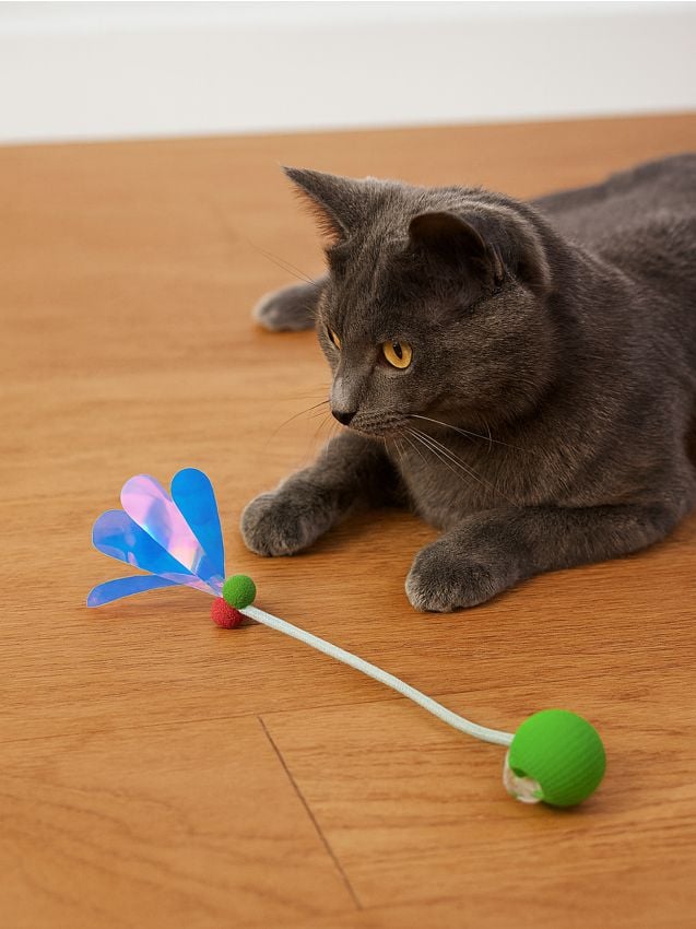 Sinsay - Hračky pre mačky - viacfarebná