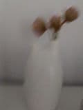 Reviews thumbnail