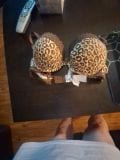 Reviews thumbnail
