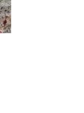 Reviews thumbnail